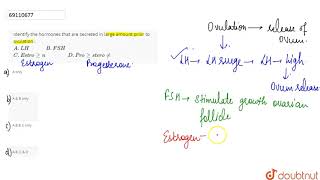 Identify the hormones that are secreted in large amount prior to ovulation [upl. by Oisangi]