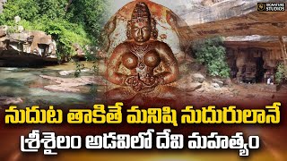 ఇష్ట కామేశ్వరి దేవిఆలయం  Srisailam Istakameswari Ammavari Temple  Signature Studios [upl. by Muna]