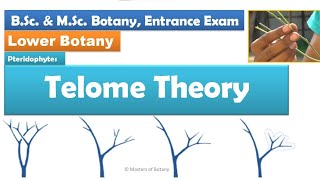 Telome theory  Pteridophytes  BSc and MSc Entrance Exam [upl. by Coffey]