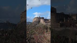 Roof top views of Edinburgh from the Roof Terrace of Chamber street Museum [upl. by Ihcekn]