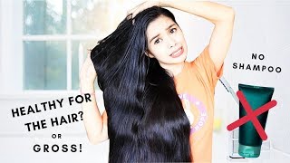 I Did Not Wash My Hair for a Week Challenge amp This Happened Beautyklove [upl. by Aerb]