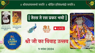 Live  Vivah Utsav 2024 Shri RadhaVallabh Mandir Patotsav vivahutsav vrindavan [upl. by Ardnuasak]