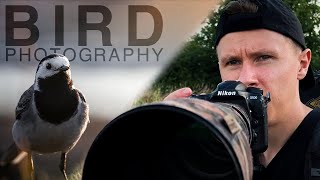 Cranes or rather BIRD PHOTOGRAPHY vlog  Wildlife Photography [upl. by Eronel]