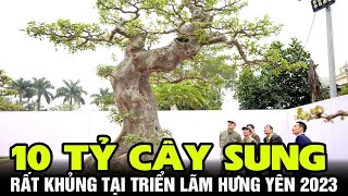 Liên Khúc Mưa  Mỹ Huyền Cát Lynh Nhật Lâm  ASIA 69 [upl. by Lenzi865]