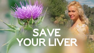 This plant will save your liver  Milk Thistle Silybum marianum [upl. by Forrer]