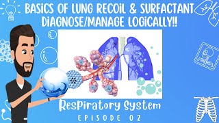 SURFACE TENSIONSURFACTANT AND ELASTANCE OF LUNG Respiratory System Episode 02 [upl. by Francie]