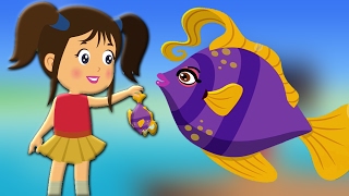 Machli Jal Ki Rani Hai Hindi Poem  मछली जल की रानी है  Kids Tv India  Hindi Nursery Rhymes [upl. by Maryjo623]