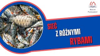 8 Przypowieść o sieci i rybach [upl. by Robson108]