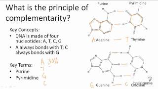 1012 Principle of Complementarity [upl. by Nibbs]