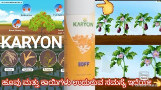 karyon  agriculture  BOFF  kannada [upl. by Sothena]