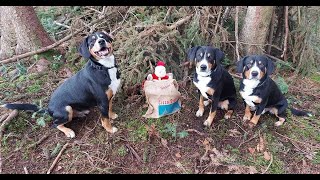 Entlebucher Chlausplausch 2022 [upl. by Bren]