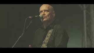 WILKO JOHNSON  ROXETTE  LIVE WICKHAM FESTIVAL 2013  FAREWELL TOUR [upl. by Nuahs]