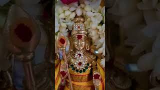 Thalai eluthai matrum Murugar godmurugan shortsfeed facts yt [upl. by Sarita]