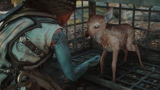 Cute Fawns Rescue After Beating Enemy Camp  Soulframe [upl. by Akimad]