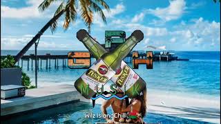 Daville ft Sean Paul  Always On My Mind Wilz IslandChill Remix 2021 [upl. by Domineca]