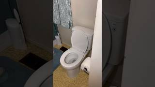 Installing a new Toto toilet plumber plumbing [upl. by Hanley541]