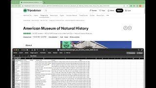 How to scrape and export Tripadvisor reviews to CSV 2024 [upl. by Bjork]