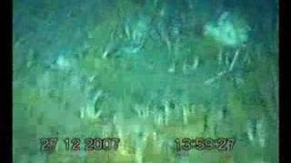 Underwater cam Aurora Australis2 [upl. by Neelyk]