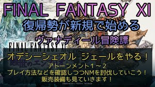 【FF11】オデシーシェオル ジェールをやる！アトーンメント１～２ プレイ方法などを確認しつつNMを討伐していこう！販売装備も見ていきます！ [upl. by Chic282]