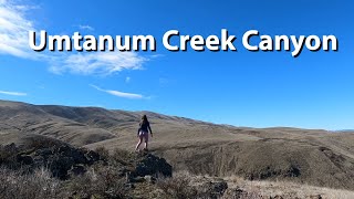 Hiking Umtanum Creek  Yakima Canyon adventures [upl. by Alial49]