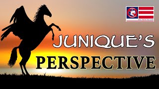 Juniques Perspective 001 Common Law  Freedom [upl. by Nannahs]