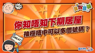 抽極居屋都唔中，派多個籌幫到手❓ [upl. by Adlihtam]