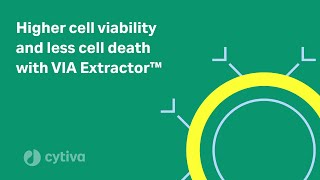 Higher cell viability and less cell death with VIA Extractor [upl. by Pedaias333]