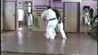 SEIDOKAN KARATE TOIDE DEMO OKINAWA 1996 [upl. by Ilrak]