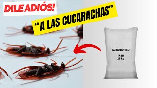 ELIMINA las CUCARACHAS de Manera FÁCIL Y ECONÓMICA MATA CUCARACHA Casero [upl. by Silvia224]