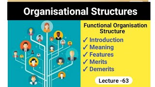 Lecture 63  Functional Organisation  Introduction Meaning Merits and Demerits [upl. by Oluas]