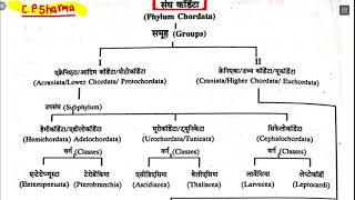 chordata classification Hindi BSc with tricks zoology by C p sharma कोर्डेटा वर्गीकरण BSc 3rd पेपर 1 [upl. by Rauscher289]