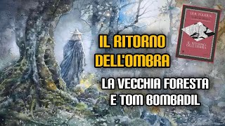 Il ritorno dellombra la Vecchia Foresta e Tom Bombadil [upl. by Nowaj69]