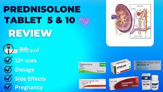 Prednisolone 5mg  Prednisone  Prednisolone Dispersible Tablets 10 mg in Hindi  Medical Creator [upl. by Kcered]