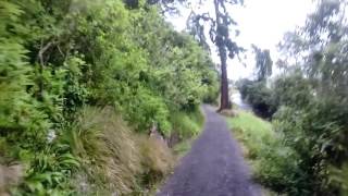 Dunedin Parkrun [upl. by Dranel]