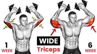 Best Triceps Workout With Dumbbells  7 Effective Exercises [upl. by Estey]