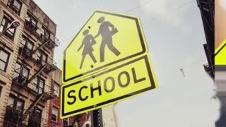 NYC school crossing guard arrested police [upl. by Arded]