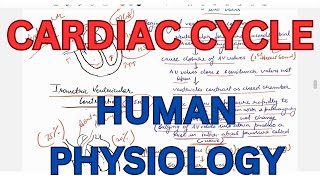 Cardiac cycle Events and Phases Pressure and Volume changes during cardiac cycle [upl. by Mollee]