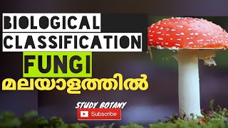 KINGDOM FUNGIBIOLOGICAL CLASSIFICATION CHAPTER 2 PART 3 MALAYALATHIL  STUDY BOTANY  NCERT SCERT [upl. by Samled660]