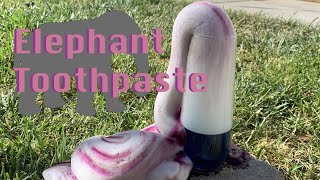 How to Make Elephant Toothpaste  FUN amp FOAMY Elephant Toothpaste Experiment  Doing Science at Home [upl. by Anuat296]