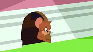 Tom And Jerry 2020 Latest New Cartoon Movie 2020 New Tom and Jerry Cartoon II [upl. by Jorie769]