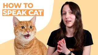 How to Speak Cat Tips to Communicate With Your Cat [upl. by Hoskinson]