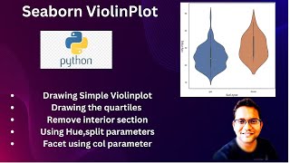 Seaborn Violinplot Step by Step guide for Data Scientist [upl. by Htebi]