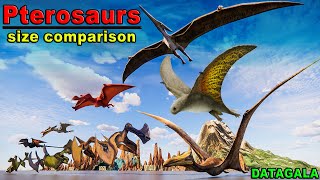 PTEROSAURS Size Comparison 🔥 Which PTEROSAURS is the biggest Size of Flying reptile species [upl. by Llehcor391]