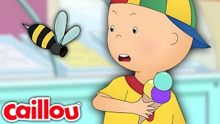 Caillou y la Abeja  Las Nuevas Aventuras de Caillou  Temporada 3 Episodio 2 [upl. by Kathleen]