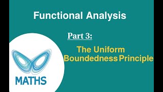 The Uniform Boundedness Principle aka Banach  Steinhaus Theorem [upl. by Noell826]