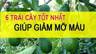 TRÁI CÂY 6 TRÁI CÂY TỐT NHẤT GIÚP GIẢM MỠ MÁU [upl. by Seltzer898]