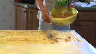 Traditional Gottscheer Apple Strudel Recipe [upl. by Atika]