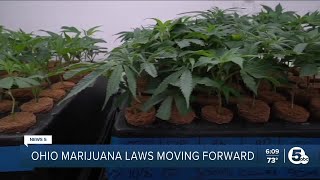 Recreational marijuana sales could start as early as June Ohio policymakers say [upl. by Inaboy644]