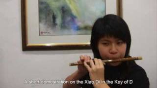 Types and Range of Dizi Chinese Bamboo Flute  Part 1 [upl. by Inaoj180]