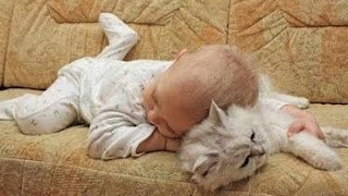 Adorable Cats and Babies Cuddling  Babies Love Cats Compilation [upl. by Chamberlin]